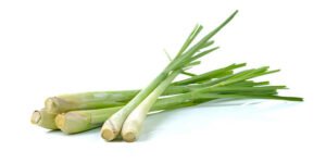 LEMONGRASS 500 GR