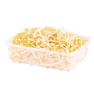 Germogli di Soia 150 g x8PZ