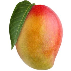 MANGO DURO VIA NAVE 1 PZ