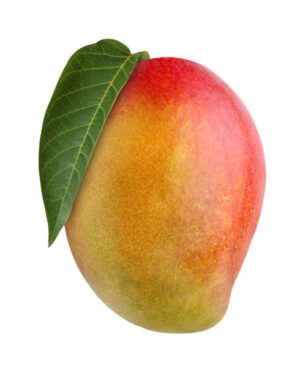 MANGO DURO VIA NAVE 1 PZ