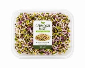 GERMOGLI MISTI 1PZ X 125GR