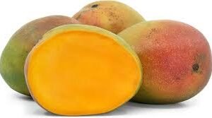 MANGO KENT EXTRA VIA AEREA 1 PZ