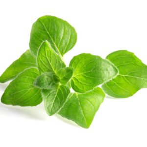 ORIGANO FRESCO A MAZZO 100 GR