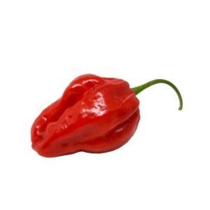 HABANERO 100 GR