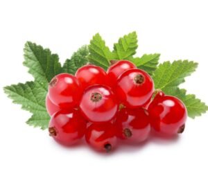 Ribes 1PZ 125 g