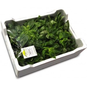 Basilico 500 g