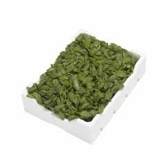 Basilico 1 kg