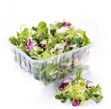 Insalatina Tuttinsieme 100 g