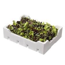 Insalatina (4SAPORI) 800 g